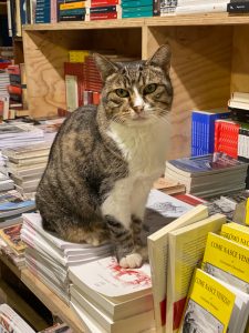 Il gatto sui libri